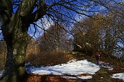 Alla croce del Monte Ocone (1363 m) dalla Forcella Alta il 20 febbraio 2016 - FOTOGALLERY